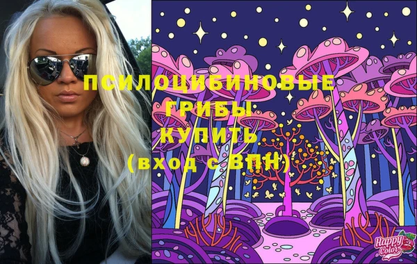 индика Алексеевка