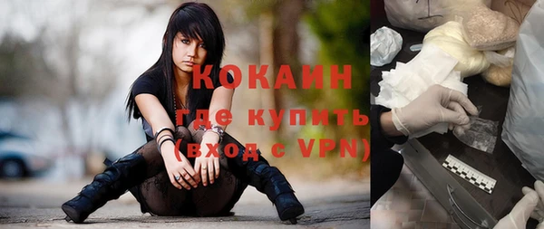 индика Алексеевка