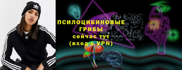 индика Алексеевка