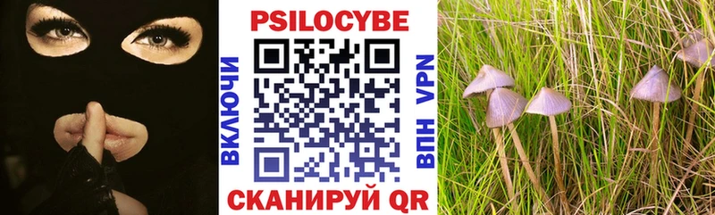 мега как зайти  продажа наркотиков  Бавлы  Псилоцибиновые грибы Magic Shrooms 